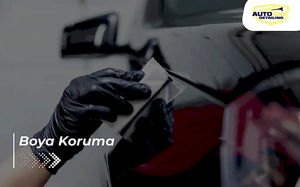 Boya Koruma